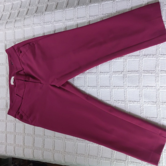Loft Burgundy Modern Skinny Ankle pant size 10 - Picture 1 of 14
